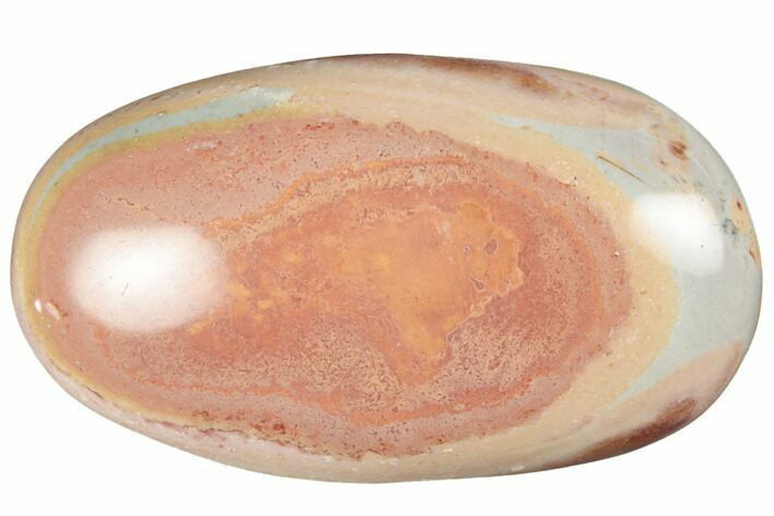 Polished Polychrome Jasper Palm Stone - Madagascar #196520